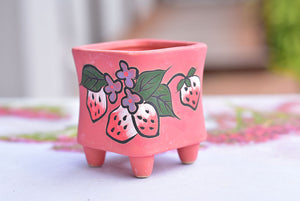 Strawberry frosted succulent pot - flower planter (5.5cm*7cm)