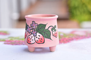 Strawberry frosted succulent pot - flower planter (5.5cm*7cm)