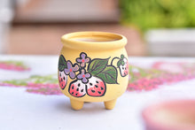 Load image into Gallery viewer, Strawberry frosted succulent pot - flower planter (5.5cm*7cm)
