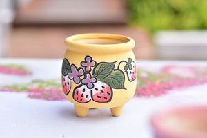 Strawberry frosted succulent pot - flower planter (5.5cm*7cm)