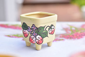 Strawberry frosted succulent pot - flower planter (5.5cm*7cm)