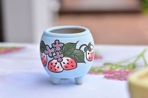 Strawberry frosted succulent pot - flower planter (5.5cm*7cm)