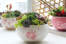 Load image into Gallery viewer, Small succulent arrangement pots - plant pot (10.5cm*6.5cm)
