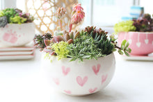 Load image into Gallery viewer, Small succulent arrangement pots - plant pot (10.5cm*6.5cm)
