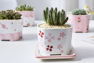 Square pink pots - succulent planter - plant pot (9.5cm*9.5cm*7.5cm)