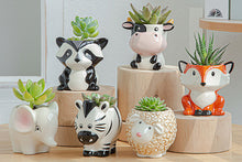 Load image into Gallery viewer, Cute animal succulent pots - flower planter
