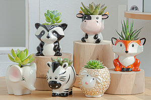 Cute animal succulent pots - flower planter