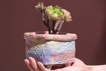 Load image into Gallery viewer, 【Doris&#39;s collection】Colourful bark pots - crackle style planter (11.5cm*9.5cm)
