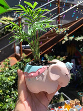 Load image into Gallery viewer, Animal Pots - Unicorn Elephant Planters - Succulent pots - Made of Resin
