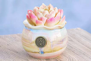 【Doris's collection】Yipin Tao pots - glaze succulent planter (8cm*7cm)