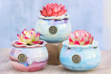 Load image into Gallery viewer, 【Doris&#39;s collection】Yipin Tao pots - glaze succulent planter (8cm*7cm)
