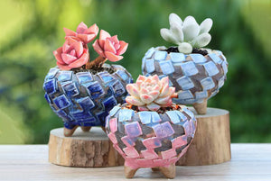 Flower pots - succulent planter - crackly style pot (8.5cm*8.5cm)