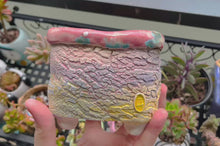 Load and play video in Gallery viewer, 【Doris&#39;s collection】Colourful bark pots - crackle style planter (11.5cm*9.5cm)
